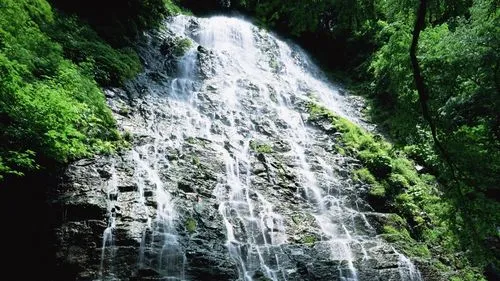 智能高端高性能